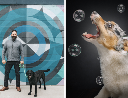 ‘Fetch Photo Truck’ is Denver’s Only Mobile Dog Photography Studio | Meet the Owner, Ryan Erickson